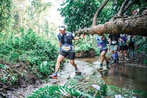 BIB: 
                            <button type="button" onclick="openModal(25476876)" class="btn btn-primary btn-sm float-right btn-popup" data-toggle="modal" data-target=".modal-high-quality">
                        <i class="fas fa-shopping-cart"></i> Add to Cart
                    </button>
                                            <button type="button" onclick="isThisMe(25476876, true)" class="btn btn-success btn-sm float-right btn-popup btn-isme hidden" data-toggle="tooltip" data-placement="bottom" title="นี่คือรูปของคุณใช่ไหม คลิกที่นี่เพื่อเอาเข้าอัลบั้ม">
                        <i class="fas fa-plus"></i> Add to album
                    </button>
                    <button type="button" onclick="isThisMe(25476876, false)" class="btn btn-warning btn-sm float-right btn-popup btn-isnotme hidden">
                        <i class="fas fa-ban"></i> Remove from album
                    </button>